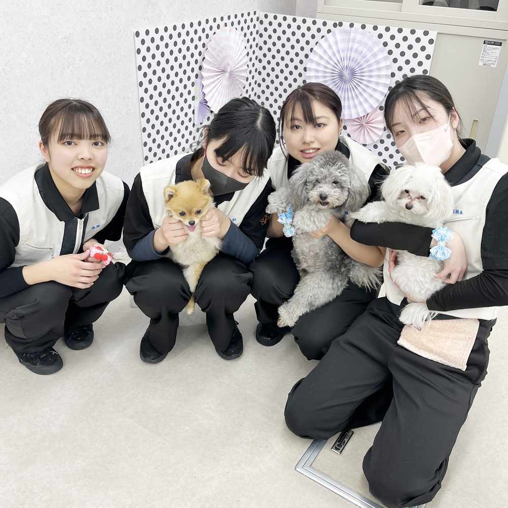 モデル犬の写真撮影会PART①